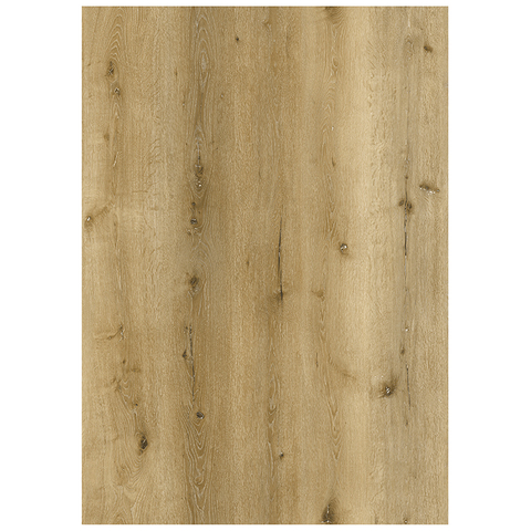 JX1092L-1 Основной цвет дубового дерева